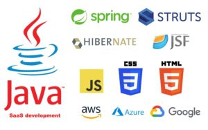 Java SaaS Development